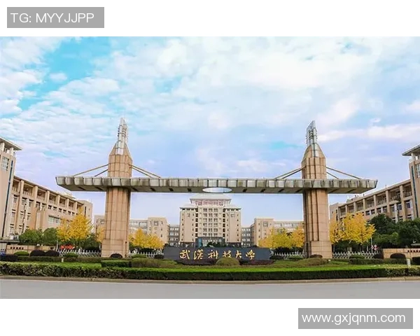 武汉羽毛球队实力飙升创历史新高力量排名引发全国关注