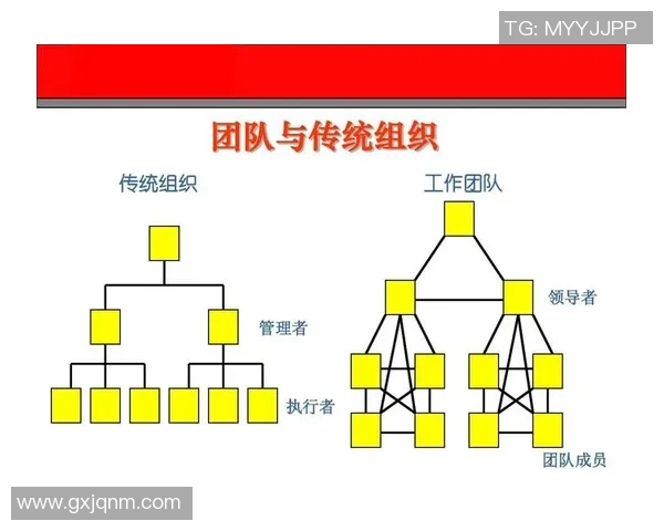 赛后分析：北京网球队与重庆网球队的默契配合与团队协作探讨