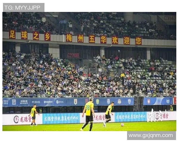 足球明星何佳的个人简介与精彩瞬间照片分享