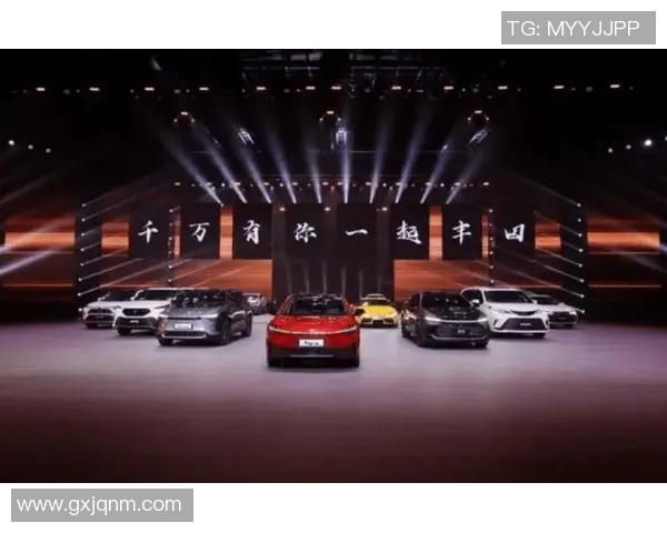 广州排球队征战洲际杯的拼搏历程与荣耀时刻回顾