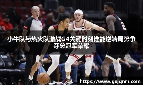 小牛队与热火队激战G4关键时刻谁能逆转局势争夺总冠军荣耀
