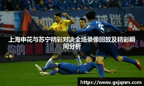 上海申花与苏宁精彩对决全场录像回放及精彩瞬间分析